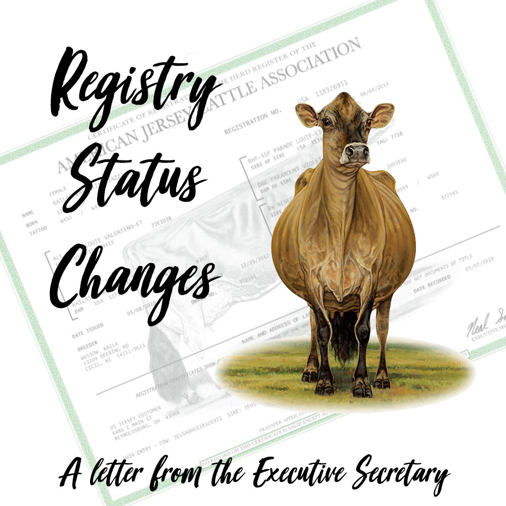 USJersey American Jersey Cattle Association & National AllJersey Inc.