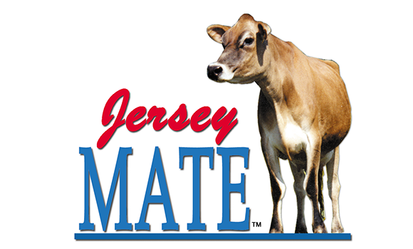 jersey cow association